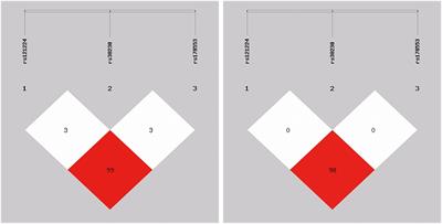 Association between miR-365 polymorphism and ischemic stroke in a Chinese population